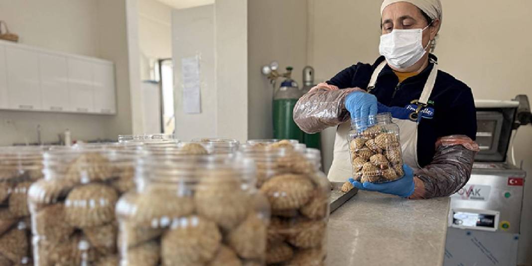 Kendi markalarını kurup yöresel ürünleri satışa sundular, 60 kişiye istihdam sağladılar: “Tek rekabet yerimiz pazar alanımız” 5